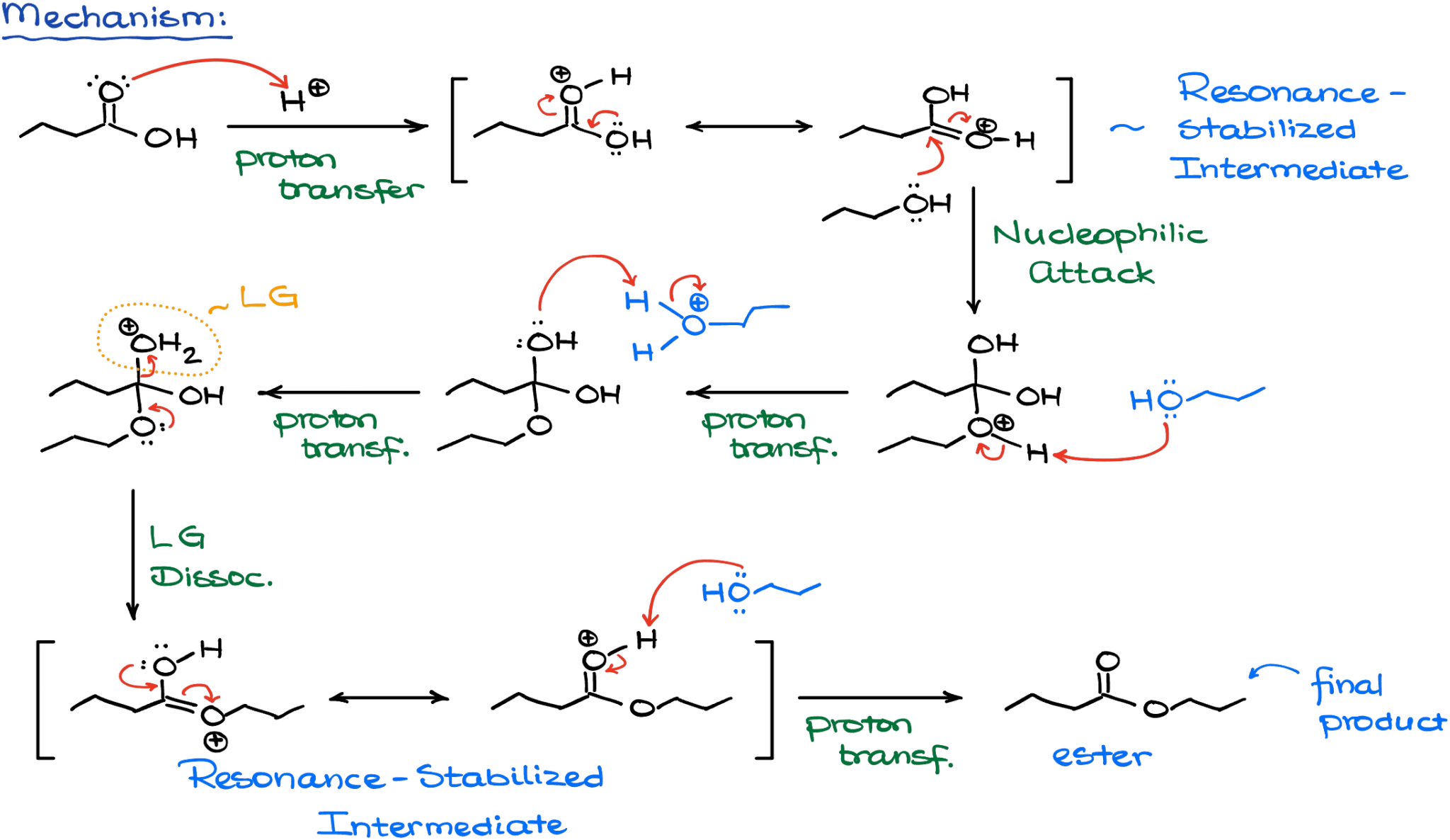 Fischer Esterification Organic Chemistry Tutor