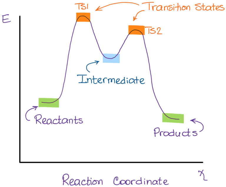 What is the Difference Between a Transition State and an Intermediate