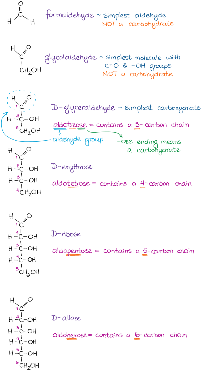 Nomenclature of Carbohydrates (the Fundamentals) — Organic Chemistry Tutor