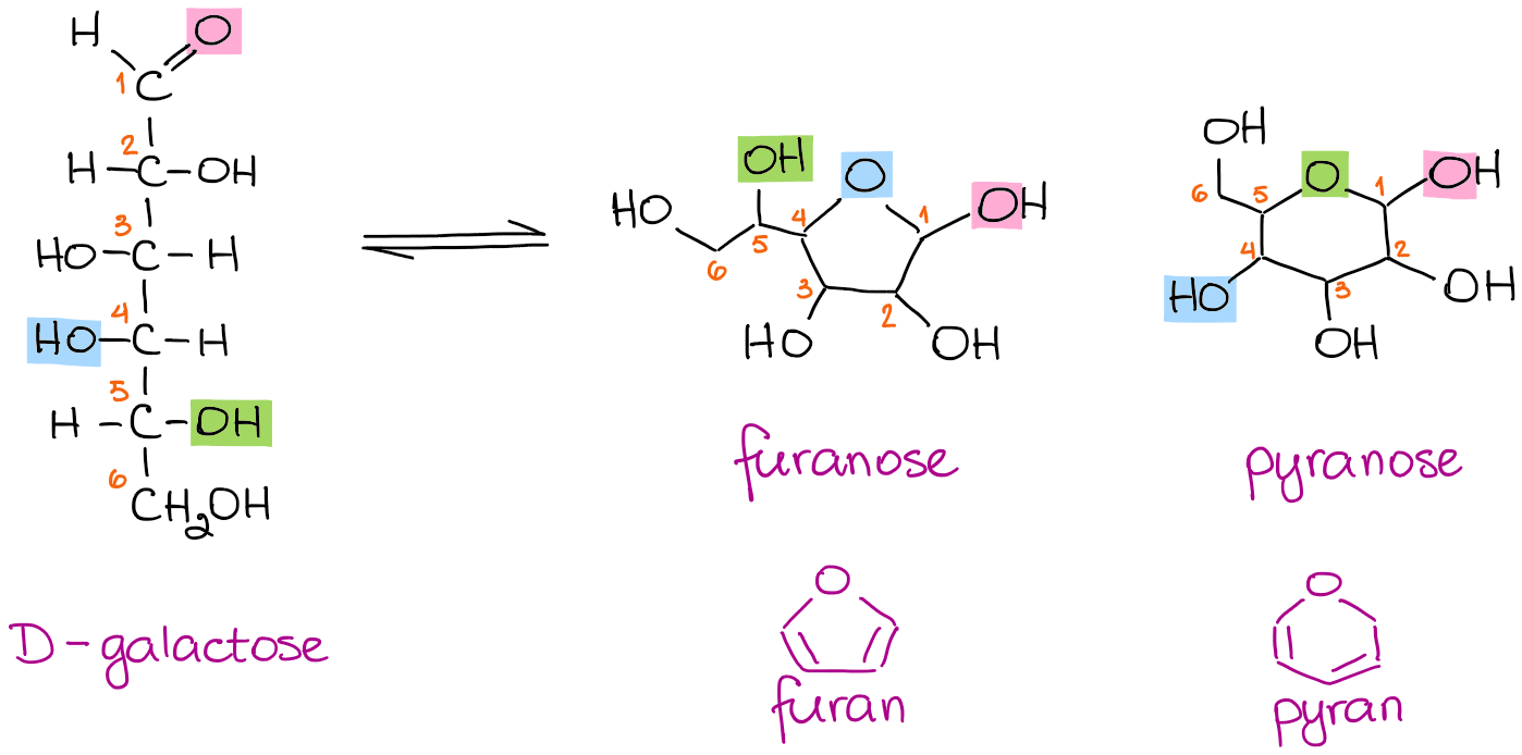 Free Vectors | Structure of fructose (C6H12O6)
