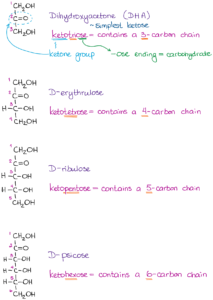 Nomenclature of Carbohydrates (the Fundamentals) — Organic Chemistry Tutor