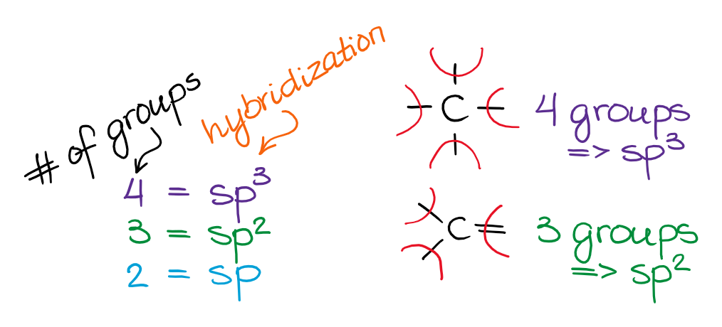 Hybridization And VSEPR Theory Organic Chemistry Tutor