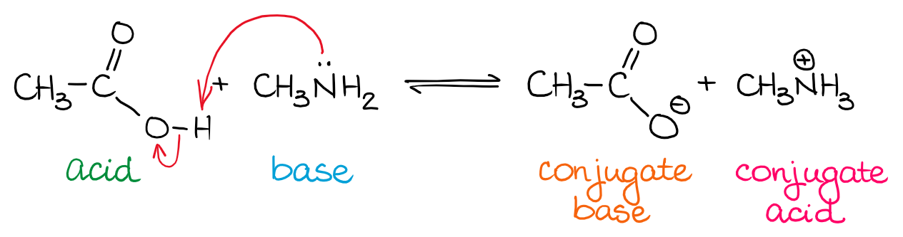 Bronsted Lowry Theory Organic Chemistry Tutor