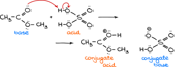 Bronsted Lowry Acid Base Equilibrium Organic Chemistry Tutor