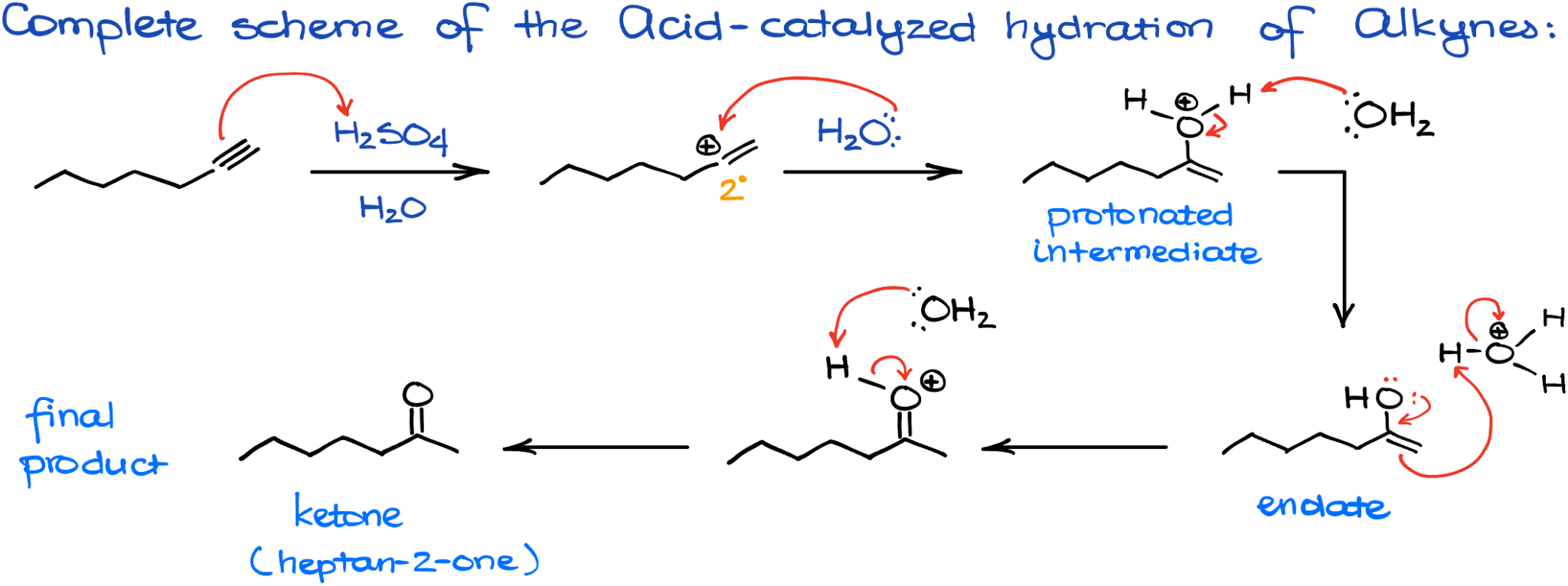 Hydration of Alkynes — Organic Chemistry Tutor