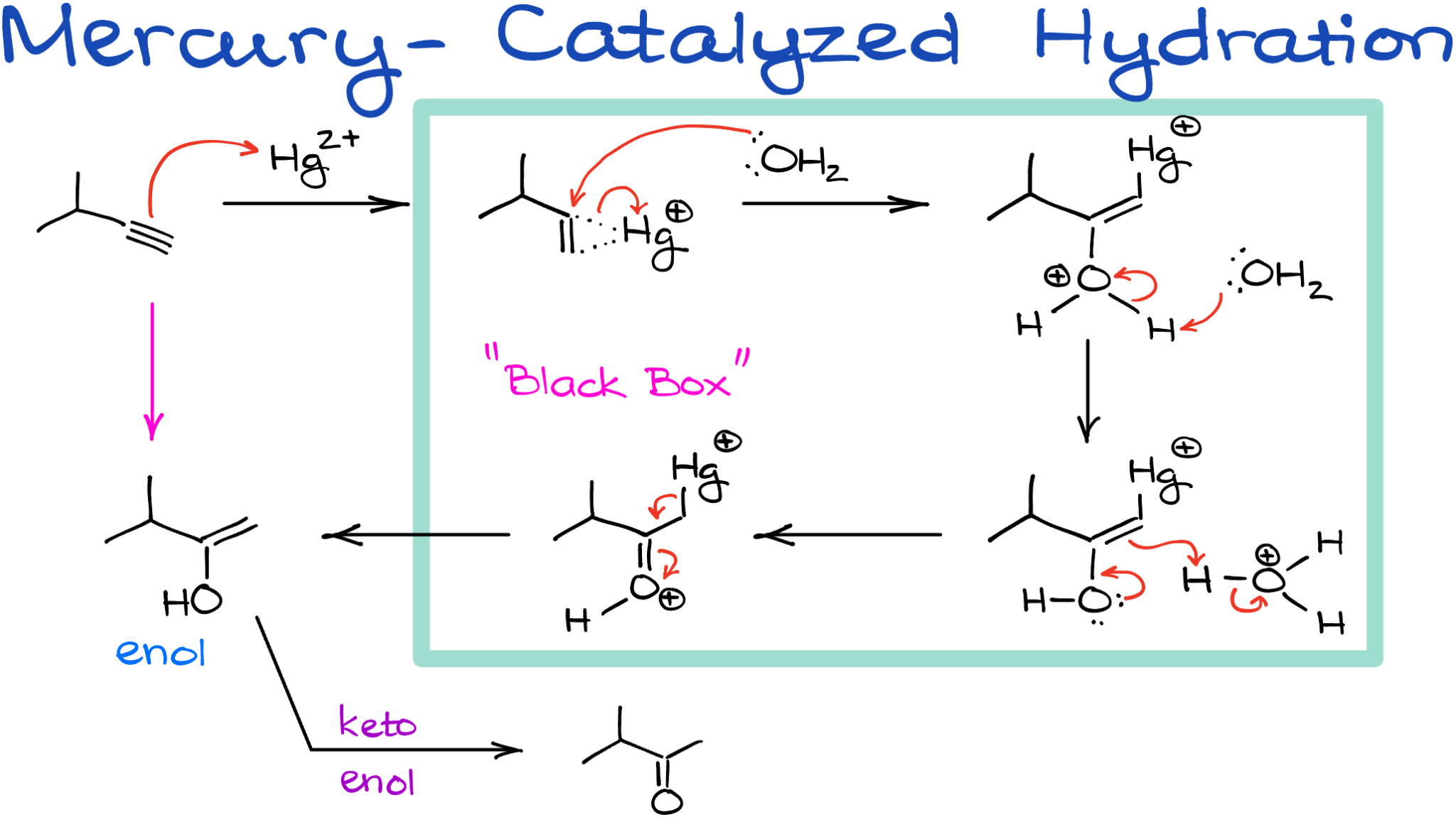 Hydration of Alkynes — Organic Chemistry Tutor