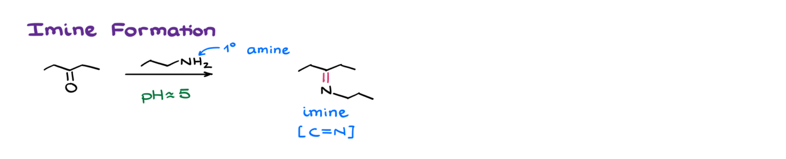 Formation of Imines and Enamines — Organic Chemistry Tutor