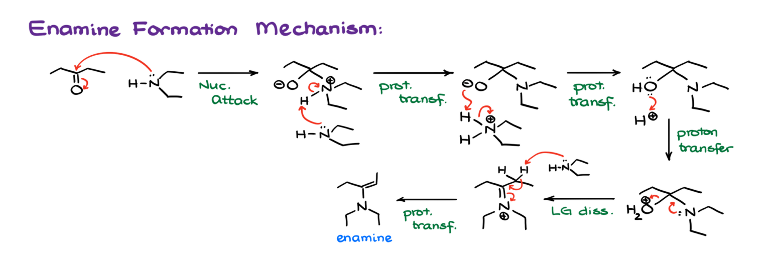 Formation of Imines and Enamines — Organic Chemistry Tutor