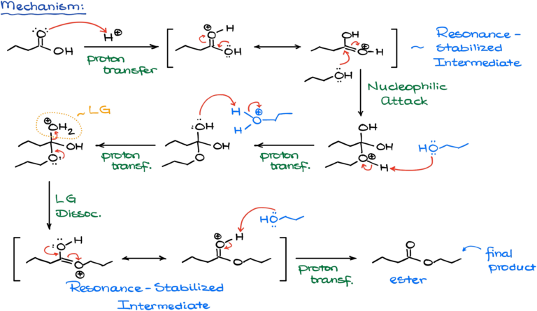 Fischer Esterification — Organic Chemistry Tutor