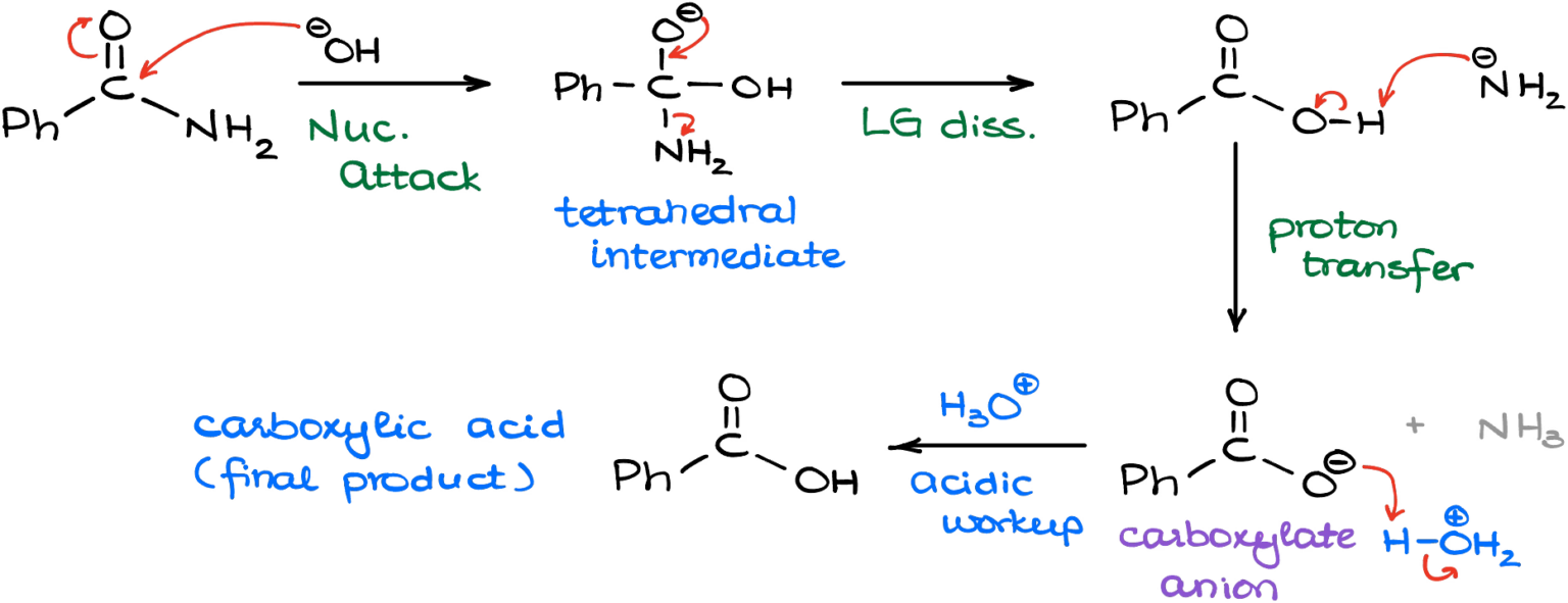 Hydrolysis of Nitriles — Organic Chemistry Tutor