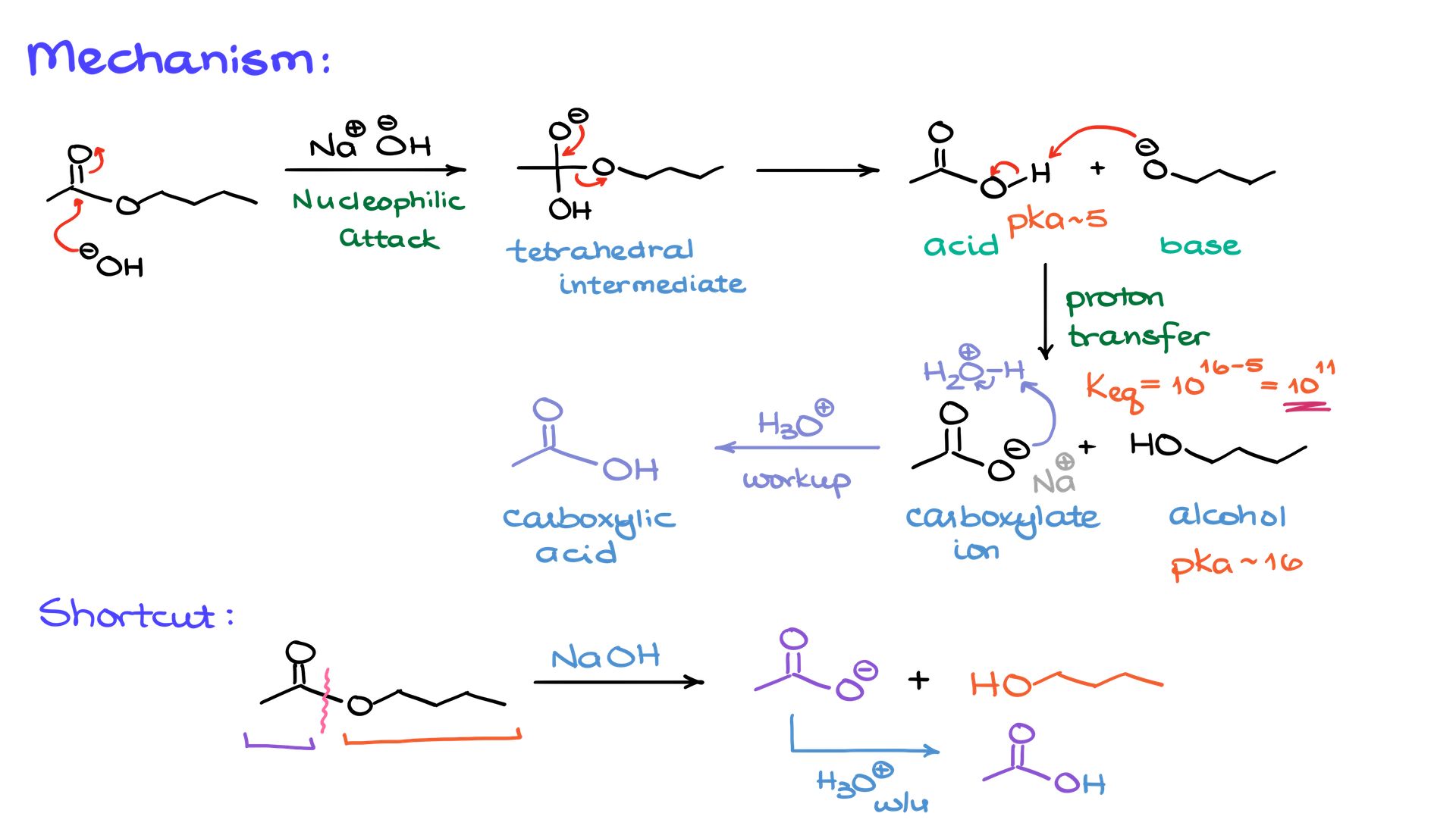 saponification mechanism