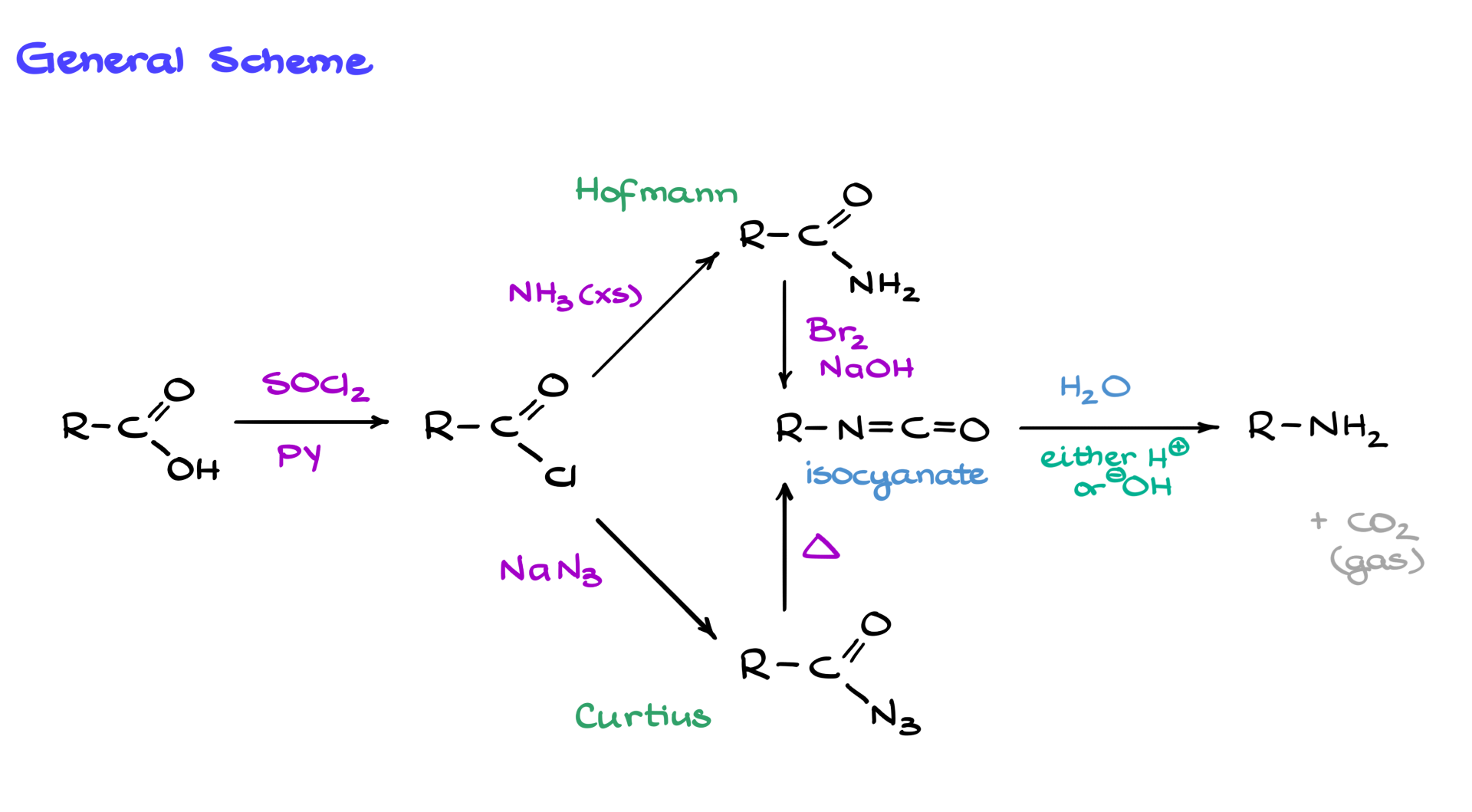 general scheme of hofmann and curtius rearrangements