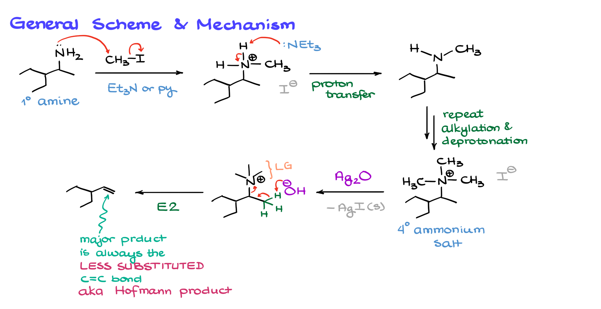 hofmann elimination mechanism