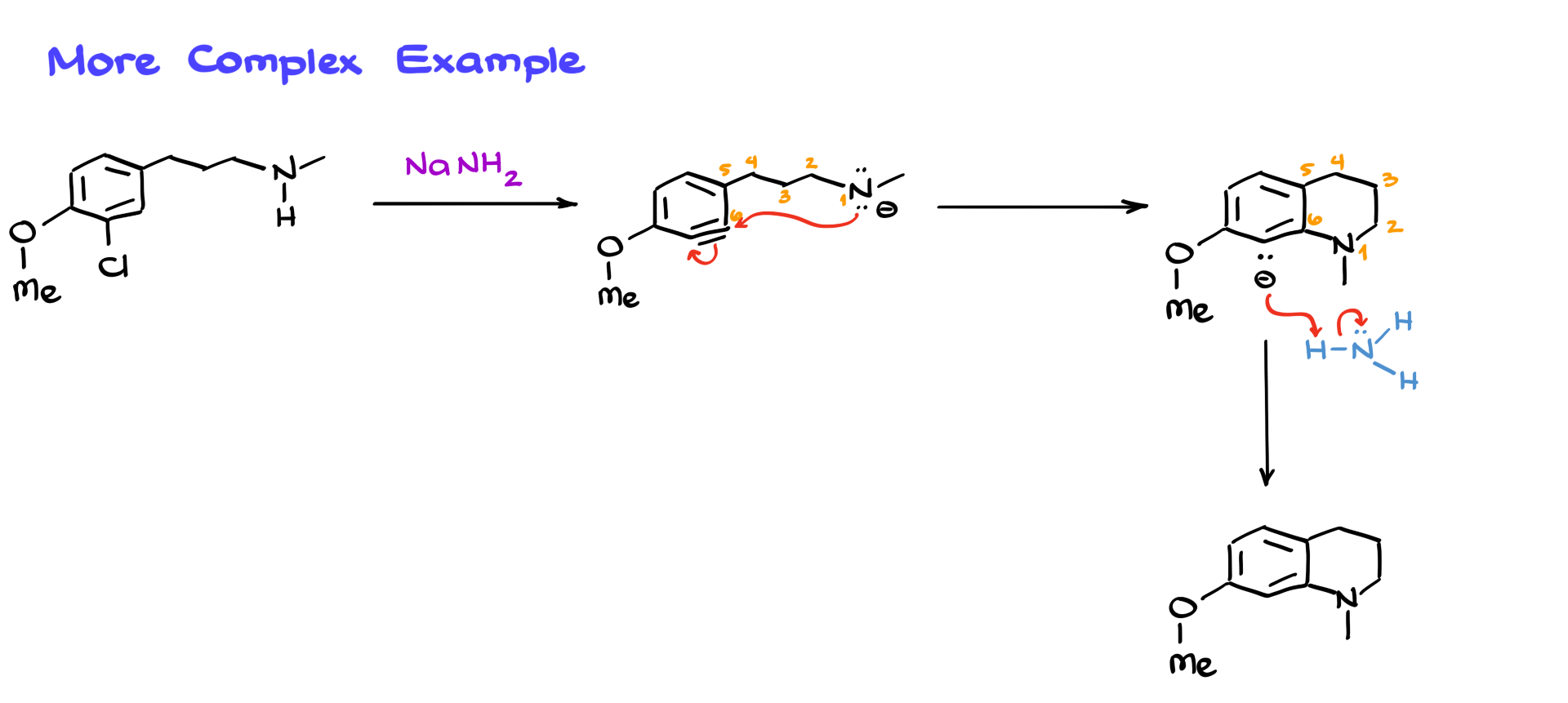 benzyne chemistry