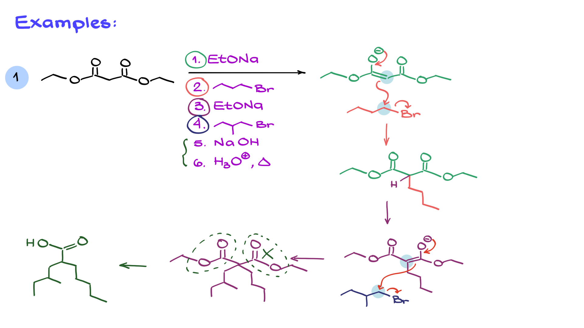 example of the malonic ester synthesis