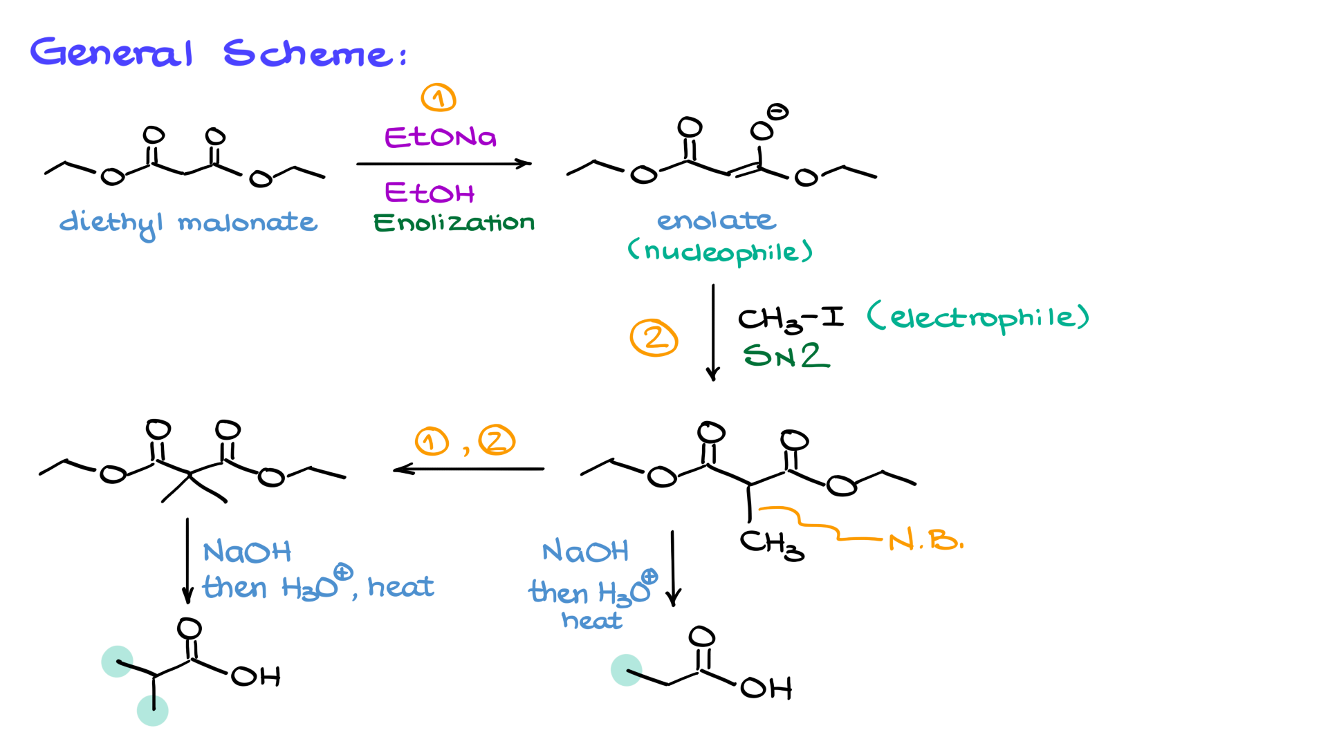 general scheme of the malonic ester synthesis