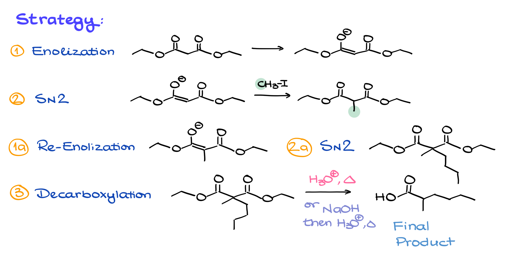 general strategy of the malonic ester synthesis