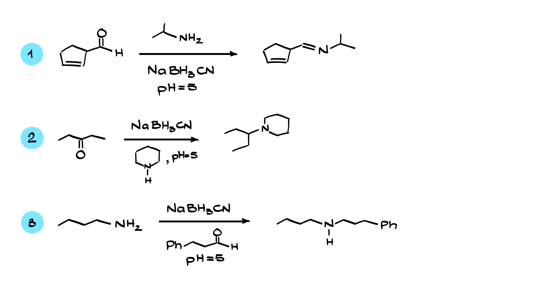 reductive amination practice questions