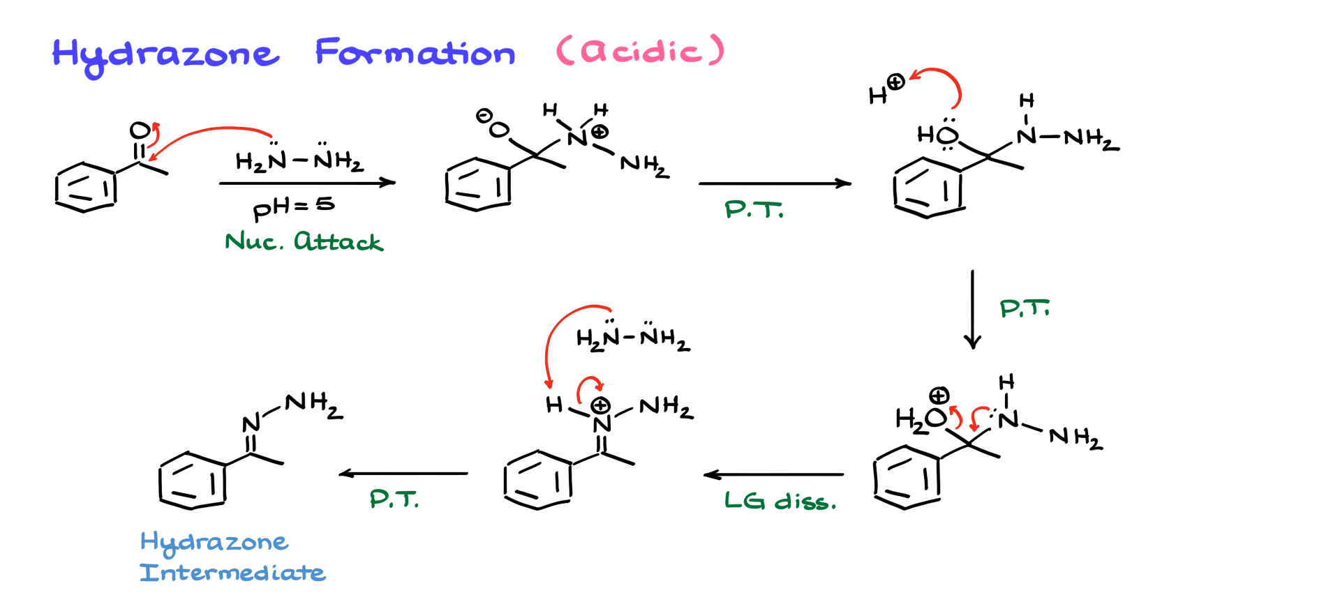 hydrazone formation in the wolff-kishner reduction