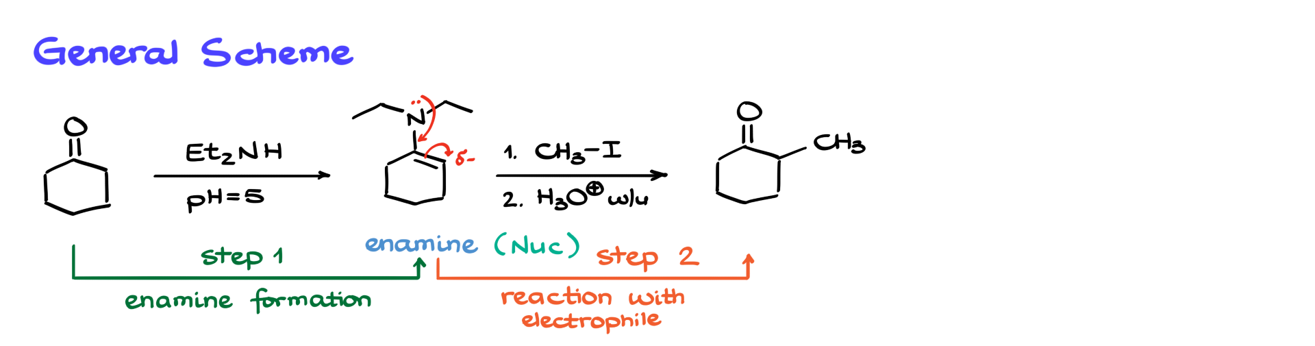 general scheme of the stork enamine synthesis