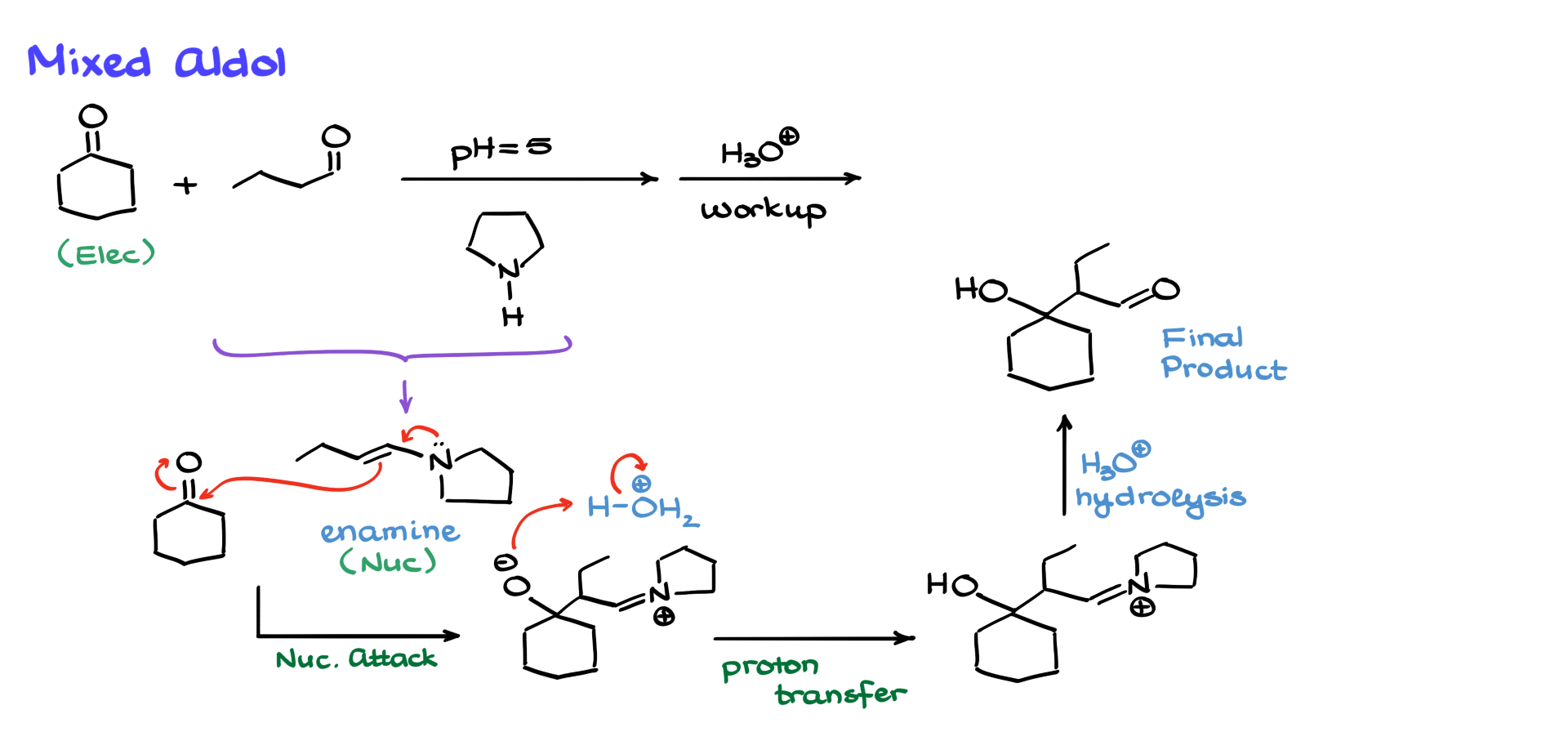 aldol formation via stork enamine synthesis pathway